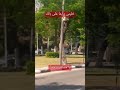 خليني دايما على بالك يا مسافر وحدك وفايني اغنية اكسبلور موسيقى يا مسافر وحدك