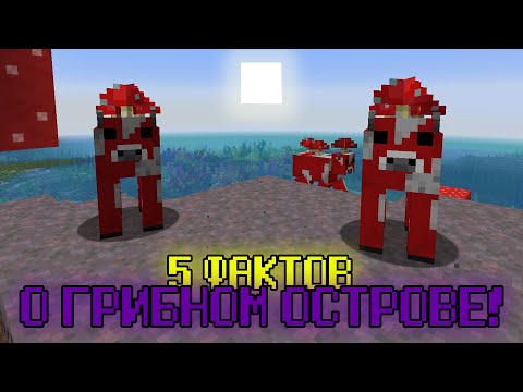 5 ФАКТОВ О ГРИБНОМ ОСТРОВЕ - Майнкрафт