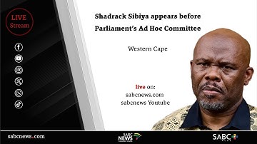 Day 2 | Deputy National Commissioner Lt-Gen. Sibiya appears before the Ad Hoc Committee
