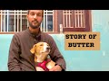 Day 45  story of butter  4 dham walk with my dog