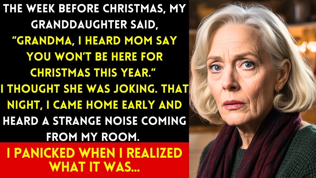 “MOM SAID YOU WON’T BE HERE FOR CHRISTMAS,” MY GRANDDAUGHTER SAID. THAT NIGHT, I SAW WHY...