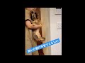 賢いと壁に手をつくらしい #Shorts
