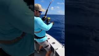 Yellowfin Goes Crazy! #fishing #videofishing #fishinglife #fypシ゚viral