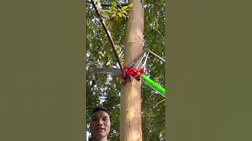 Cắt Rất Ngon Lành #satisfying