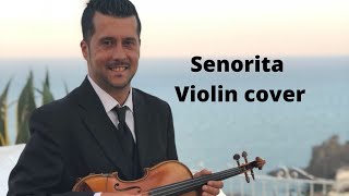 SEÑORITA Violin cover  {Shawn Mendes & Camila Cabello} Resimi