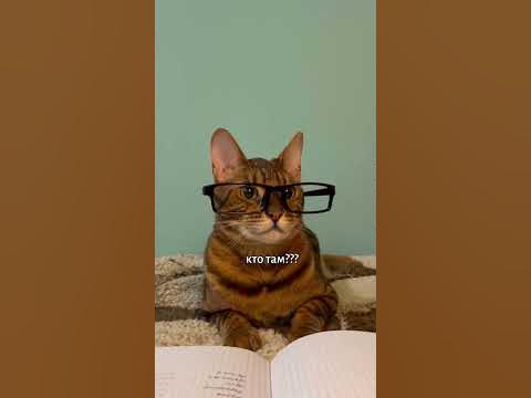 Валерий Полосатиков - YouTube