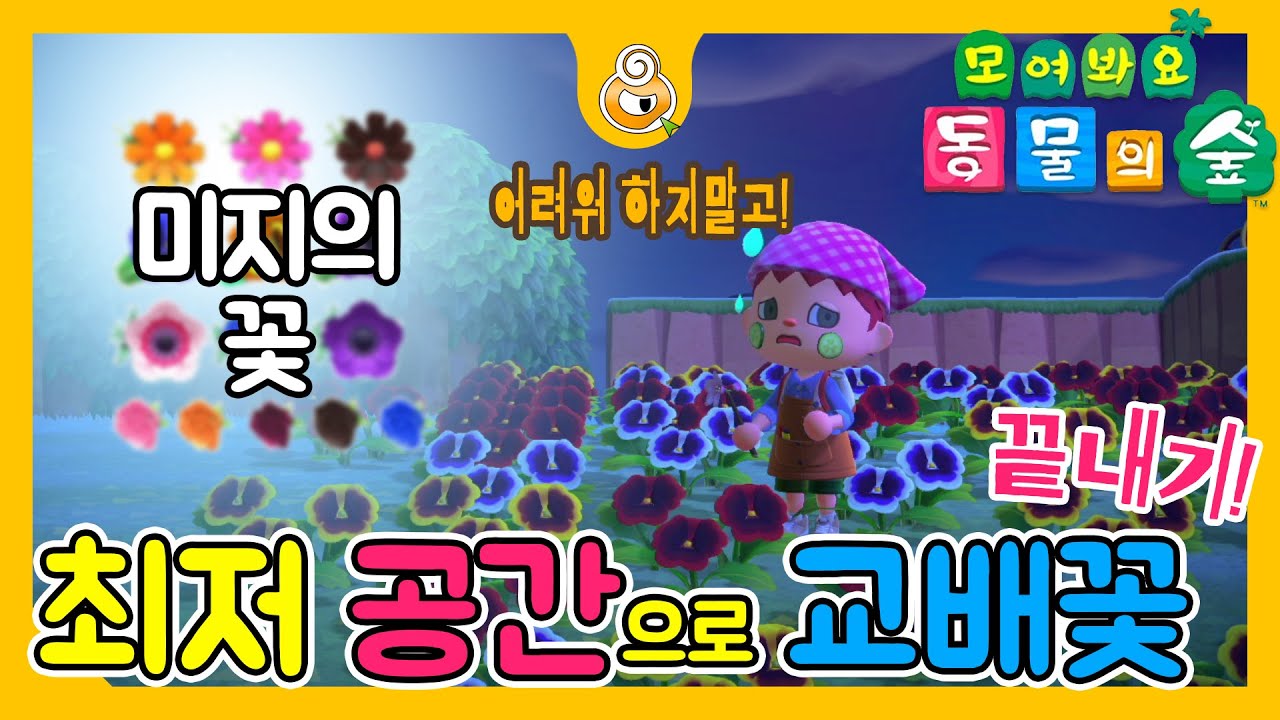 모동숲 #교배꽃 #최적공간 #꽃 #교배 #성공적 - YouTube 모동숲 #교배꽃 #최적공간 #꽃 #교배 #성공적 - Youtube