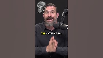 Unlocking the Power of the Anterior Mid Cingulate Cortex: Increase Willpower | Andrew Huberman