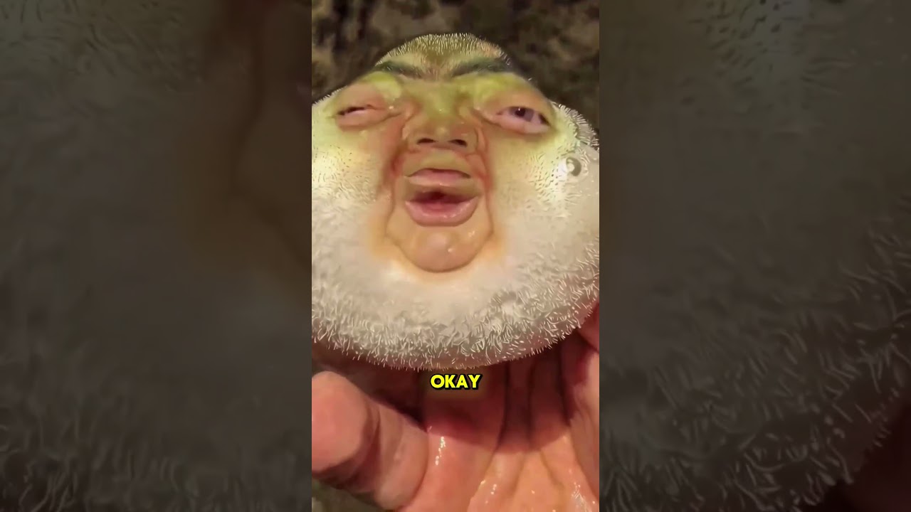 🫠 Cada Vez Me Etiquetan En Videos Raros