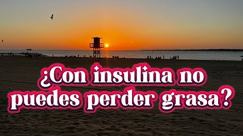 Con insulina no puedes perder grasa, The Cuñisher el castigador de los cuñados al rescate
