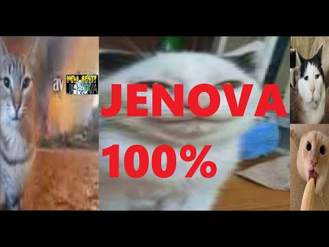 Женова 100% [92% challenge]