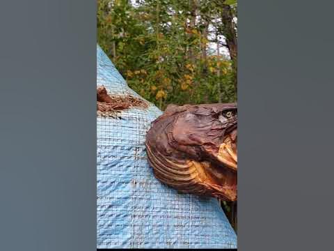Рыбьи головы. - YouTube