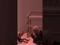Peek-a-Boo 💕 | Sims 2