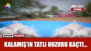 Kalamış Parkı Betona Boğuldu