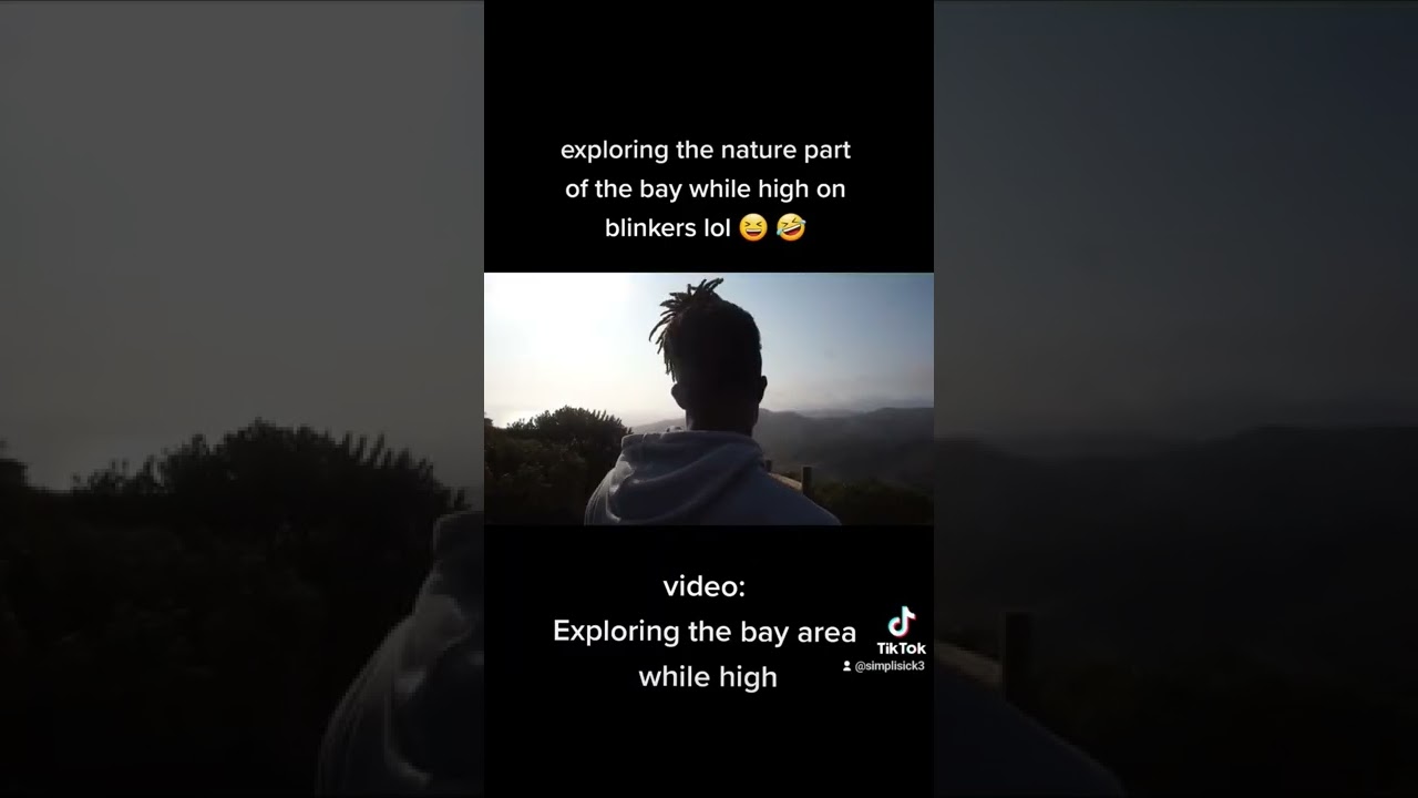 Exploring the nature part of SF while high on blinkers lol