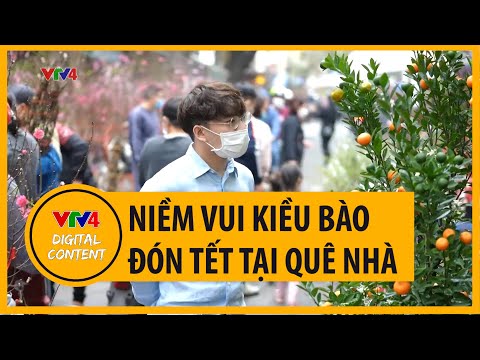 Video Niềm vui kiều bào đón Tết tại quê nhà | VTV4 - youtube