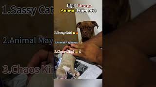 Ranking Funniest Drive-Thru Moments 🤣 #ranking #memes #funny #tiktok