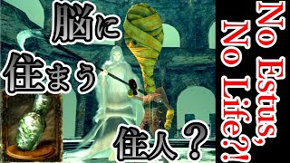 No Estus, No Life？！美しき絵画世界【りのうの哲学「脳の小部屋」】#13【DarkSouls・2周目】