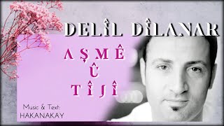 Aşme û Tîjî - Delîl DÎLANAR Resimi