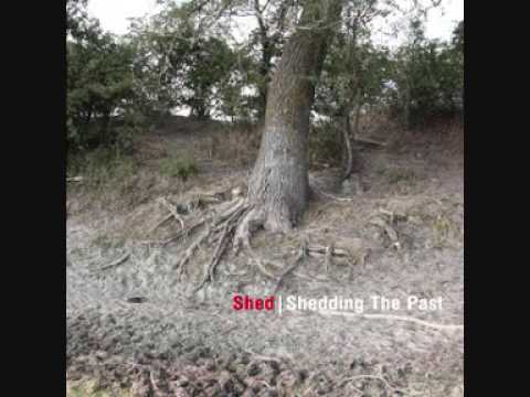 Shed - Flat Axe