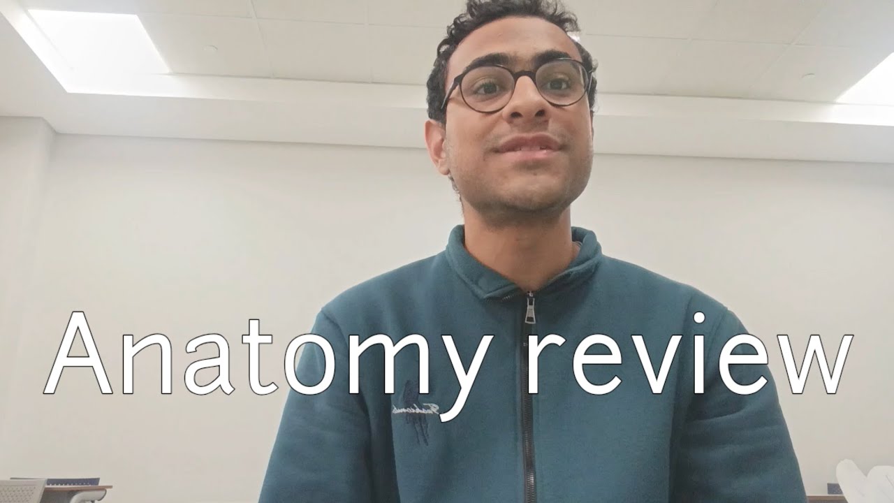 Anatomy review 