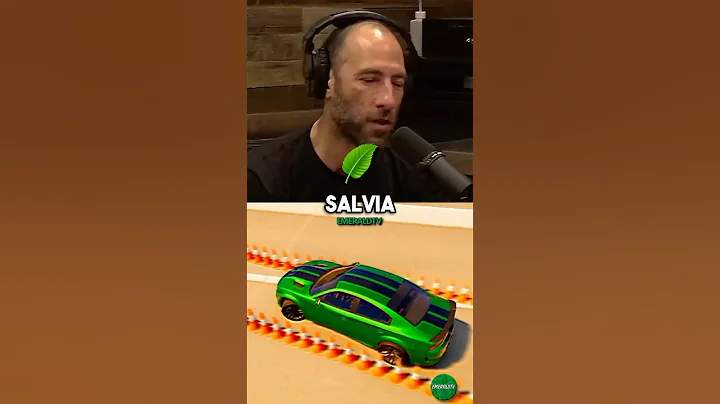 Ari Shaffir Talks About His INSANE Salvia Trip 🤯