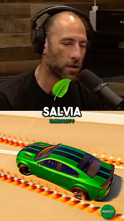 Ari Shaffir Talks About His INSANE Salvia Trip 🤯