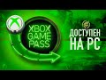 Всё об Xbox Game Pass на PC: где купить, как и во что играть
