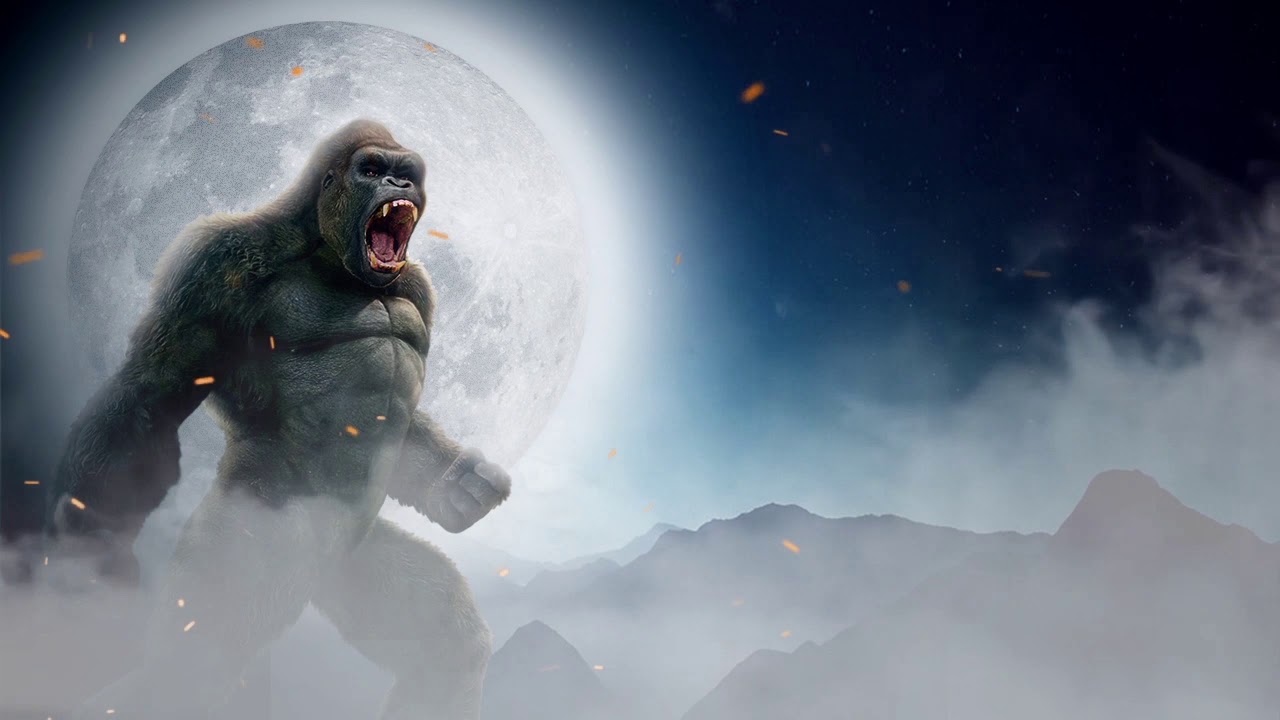 King Kong Kids Show Songs YouTube