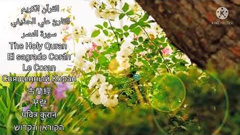 القارئ علي الحذيفي سورة النصر HD