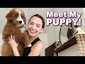 Meet My PUPPY with Veronica!