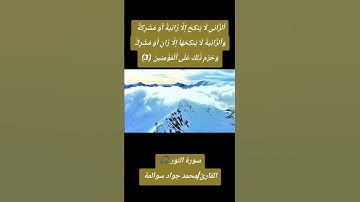 سورة النور - آية 03: القارئ/محمد جواد سوالمة