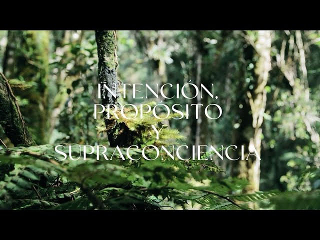 En este video te comparto cómo la intención consciente y un propósito claro me llevaron a experimentar un salto cuántico en mi nivel de supraconciencia.
