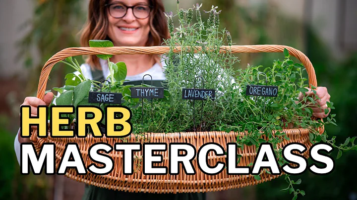 GROW HERBS in Hot Climates: Top 10 Tips for a Thriving Herb Garden thumbnail