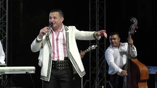 Dumitru Vasilescu Taraful De La Pârâul De Pripor Muzica De Petrecere 2021 
