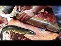 Fastest Fish Cutting Skills | Live Murrel Fish Fillet | Fish Clean And Fillet Videos