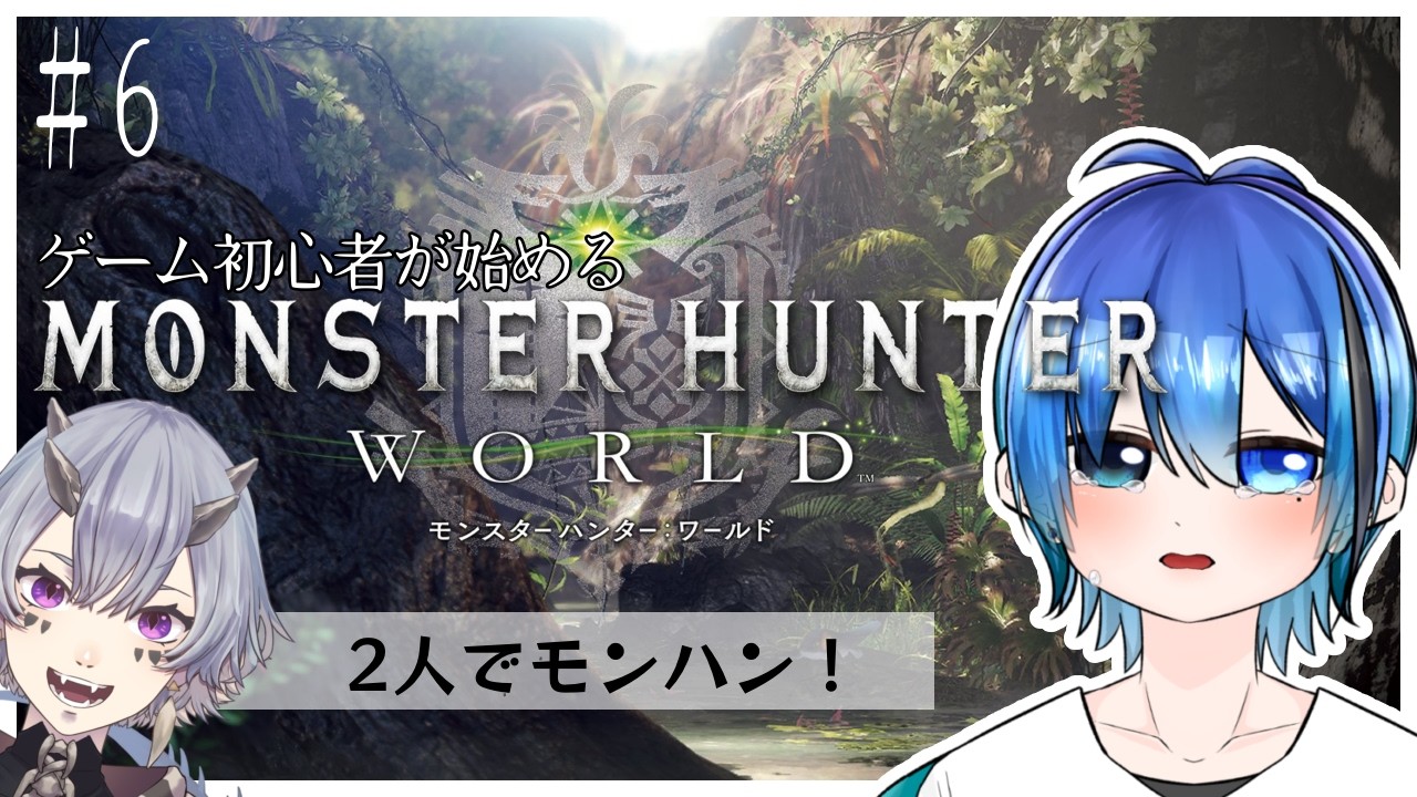 モンハンやるでよ