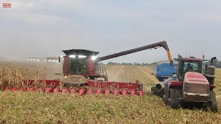 CASE IH 9250 Axial-Flow Combines Harvesting Corn