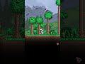 5 Things to do on a Windy Terraria Day...