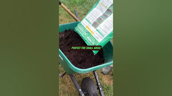 Spread Grass Seed & Soil Fast | #shorts #soil #maintenance #lawn #tips - DayDayNews