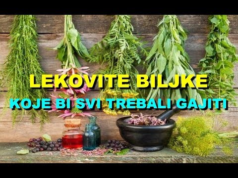 Video: Kako Izbijeliti Biljke