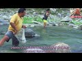 amazing fishing hills river || traditional net fishing || india || 2019