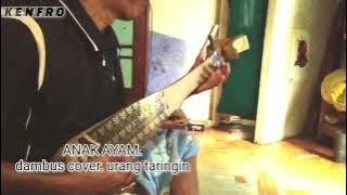 Dambus Anak ayam cover