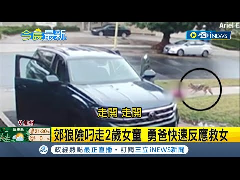#iNEWS最新 為救小孩什麼都不怕! 美國野生動物出沒 郊狼險叼走2歲女童.浣熊緊咬5歲女童腿 加州.康州勇爸勇媽救女｜【國際局勢】20221205｜三立iNEWS