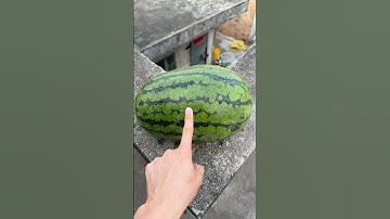 Experiment: Will a watermelon explode if it rolls off a tall building? 🍉💥#shorts