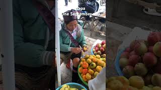 Sapa, small town in Northern Vietnam vietnam travel short