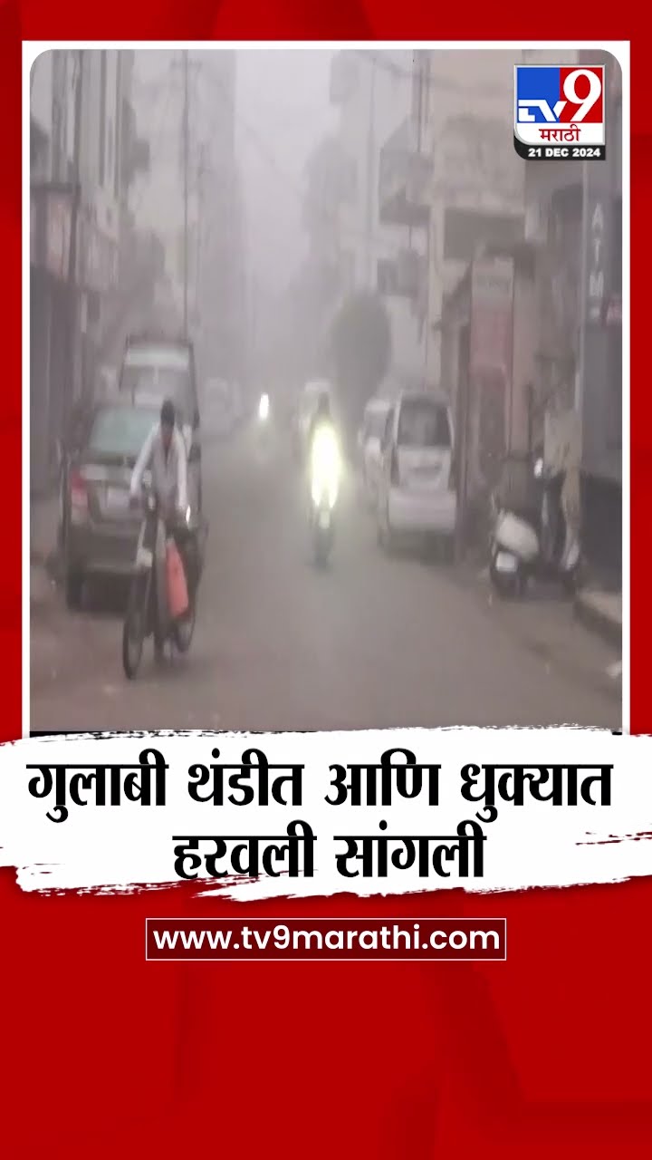 Sangli Fog | गुलाबी थंडीत आणि धुक्यात हरवली सांगली | Weather news | tv9 Marathi