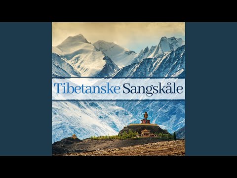 Video: Tibetanske Mandalas - Alternativ Visning