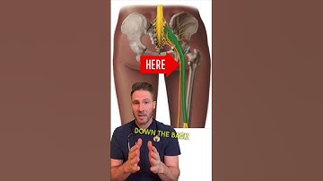 Legs fall asleep on the toilet?! 😳