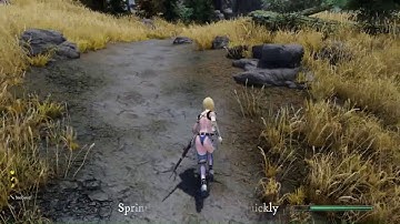 Skyrim Combat Mod: Engarde showcasing stamina when running